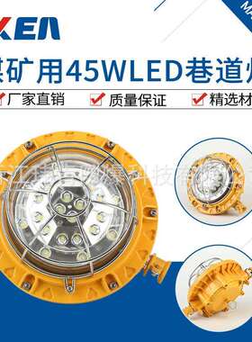 浙江玮肯20W24W36W48W巷道灯DGS20/127LDJS36