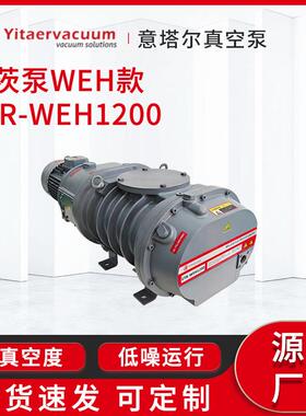 罗茨真空泵WEH款ETR-WEH1200真空干燥冷冻干燥用抽真空机