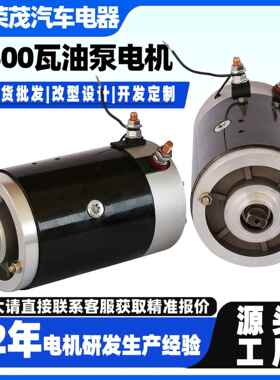 2500瓦电机 12V/24V/48V汽车油泵电机 2700RPM直流有刷铜芯电机