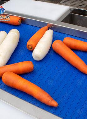 519果蔬清机 砂糖清洗洗备流水线 果蔬毛辊气泡清设洗风干生产橘