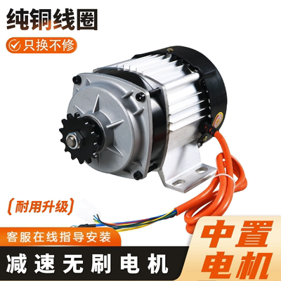 电动三四轮车电机人力车改装中置直流无刷电动机48V60v割草机马达