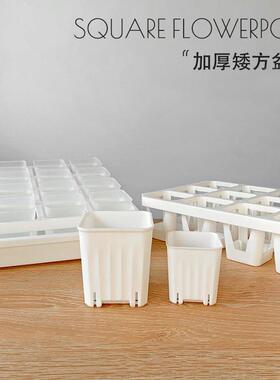 矮胖多肉塑料花盆包邮扦插儿童种植白色方口盆加厚控根透明可涂鸦
