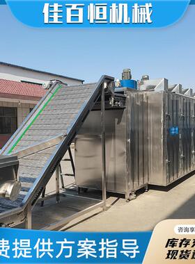 商用大型网带辣椒烘干机桂圆烘干设备木薯片牧草药材干燥机