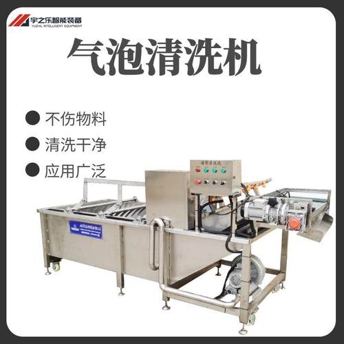 涡流翻浪清洗机荷兰豆清洗设备多用途豆角蒜苔清洗漂烫机