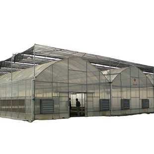 薄膜连栋温室大棚 蔬果种植大棚 草莓阳光薄膜日光温室花卉养殖棚