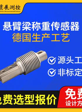 上海悬臂式称重传感器ZZ420-123悬臂剪切梁式压力传感器