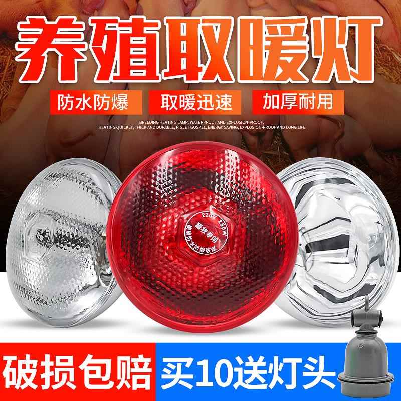 保温灯养殖场猪用取暖灯泡仔猪小鸡育雏加热烤灯保暖专用灯座灯罩