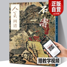 赠教学视频人美画谱 石涛 高清大开本国画山水花鸟画入门 国画临摹底稿范本中国画技法 石涛平全集石涛山水画集画册页国画入门