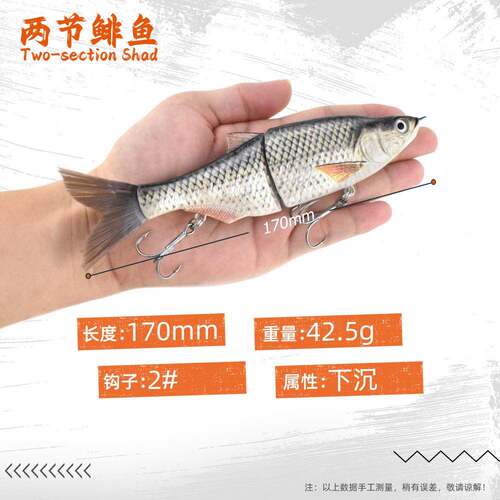 海钓白条鱼逼真雕刻鱼鳞表面仿真路亚假饵软棕色塑料尾巴