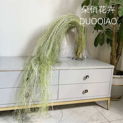 拉丝水蜡叶花材水烛叶丝干草花水竹叶丝垂吊垂挂型装饰材料婚庆花