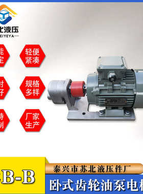WBZ-2.5/4/6/10齿轮泵电机组装置CB-B2.5/B4/B6/B10JZ卧式液压泵
