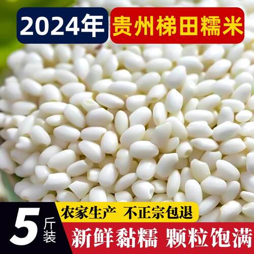糯米2026年新米一级贵州糯米粽子专用新米农家白糯米饭酿酒包粽子