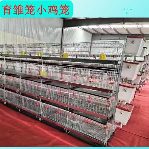 鸡舍育雏立式肉鸡笼幼雏笼养殖小鸡笼家用养殖小鸡笼