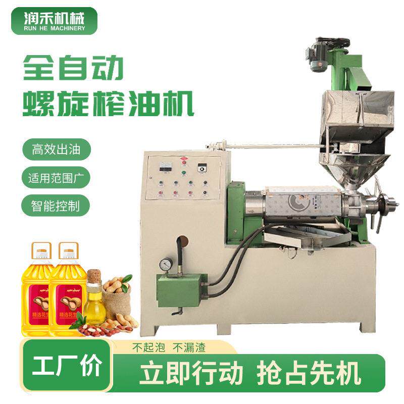 小型商业用榨油机全自动家用核桃芝麻液压榨油机大型食用油精炼机