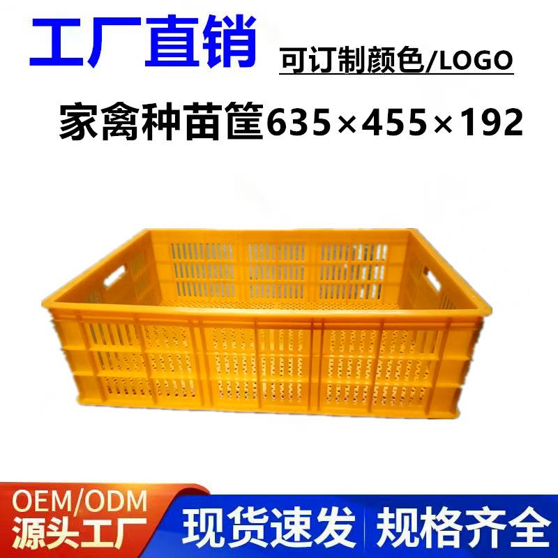 塑料家禽种苗筐鸡苗鸭苗活禽运输筐有孔透气塑料周转胶框工厂直发