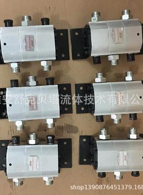 FMA-2R-2.1S系列高精度齿轮分流器（同步分流马达）