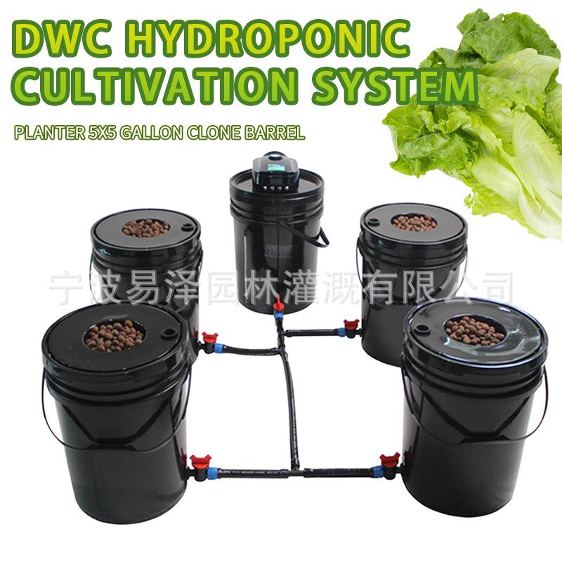 源头工厂5加仑无土栽培种植桶，DWC水培设备亚马逊ebay爆品