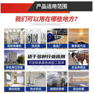 生物质蒸汽发生器燃煤蒸汽锅炉厂家生物质导热油锅炉烘干食品