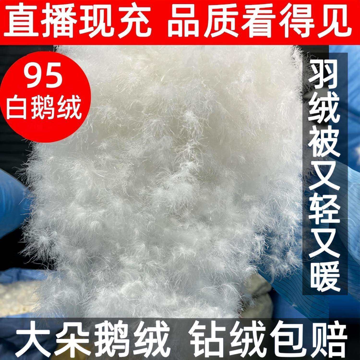 100白鹅绒羽绒被国标9A级优等品抗菌保暖被芯纯羽绒被子母被