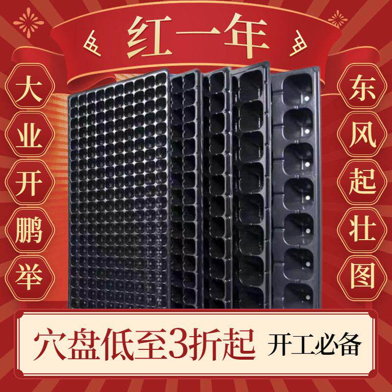 育苗盘新款穴盘加高西瓜蔬菜秧盘水稻育苗盘农用玉米辣椒苗盘