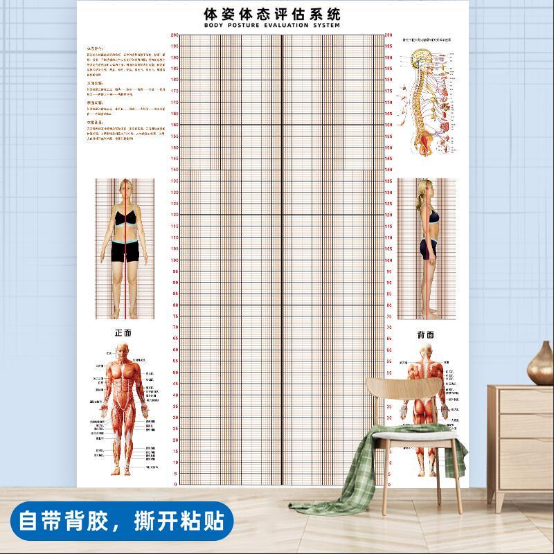 体态评估表墙贴健身房体测网格纸瑜伽馆私教姿势体位背景墙体链衡