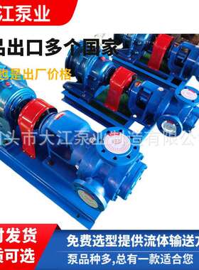 现货NYP-111/1.0高粘度转子泵沥青高粘度泵树脂聚醚粘稠转子泵