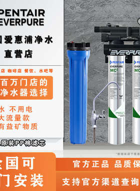 美国爱惠浦MC2净水器双联奶茶店咖啡制冰机大流量直饮商用过滤机