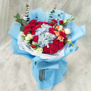 北京鲜花速递同城康乃馨花束礼盒母亲节老师生日花店上门配送花店