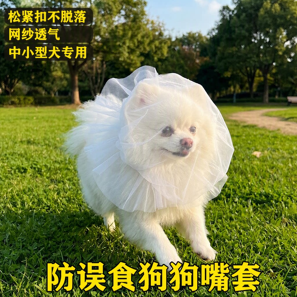 中小型犬透气防舔防误食嘴套图片