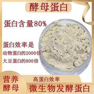 安琪酵母蛋白高纯度高蛋白新食品原料风味酵母营养强化酵母蛋白粉