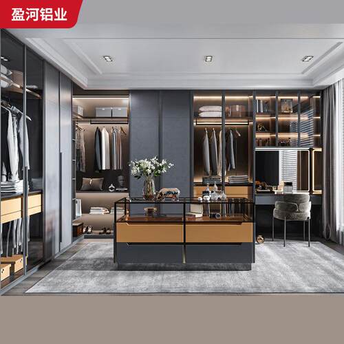 新款直销现代轻奢铝合金衣柜家用靠墙收纳展示一体组合金属衣帽间