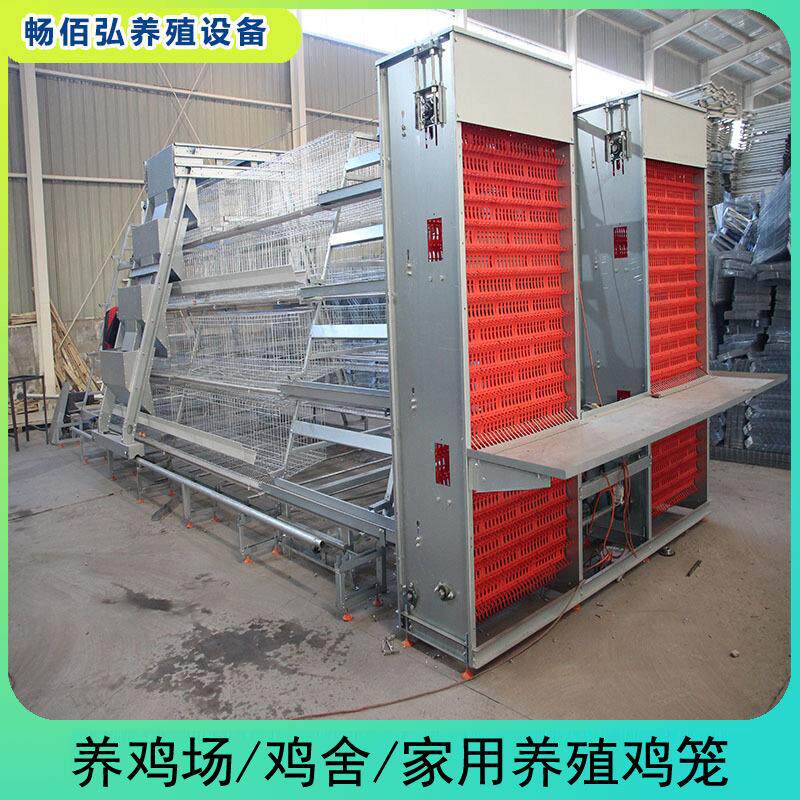 全自动阶梯式蛋鸡笼自动化鸡笼养畜牧/养殖器械