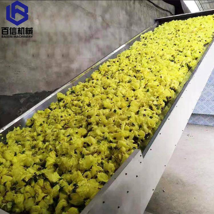 鲜花烘干机多层带式鲜花干燥机网带烘干设备生产厂家百信机械