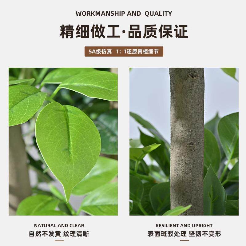 仿真植幸福树室摆内客厅发财树件假树仿绿生植大物型JUA橱窗造景