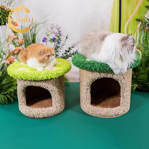 C-Queen/Camily蘑菇墩大尺寸实木猫爬架猫窝猫抓板可坐人猫家具
