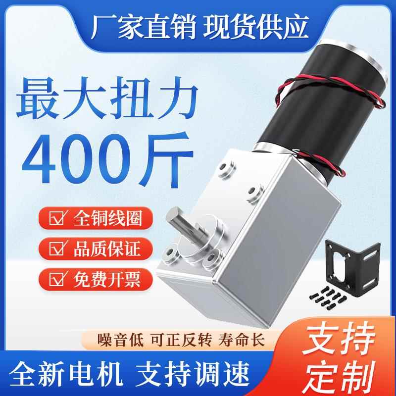 5882-50蜗轮蜗杆直流自锁减速电机大扭矩低速12V24V正反转马达