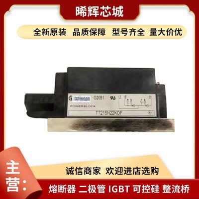 TT215N22KOF TT215N20KOF 型号齐全 标准封装功率半导体igbt