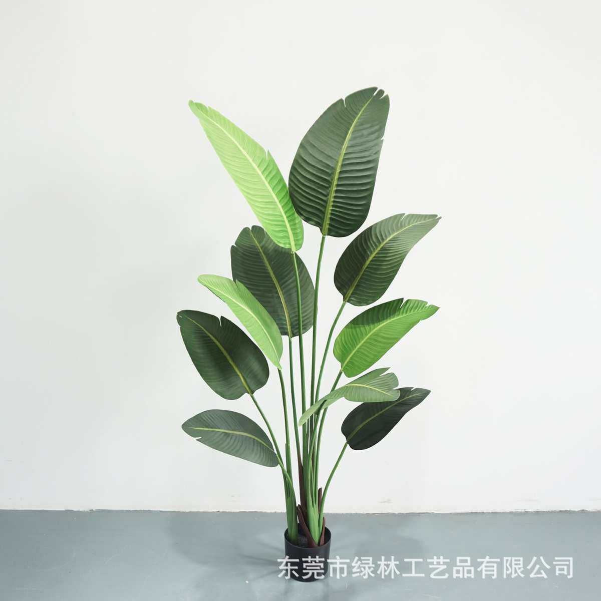 仿树芭蕉植蕉小树各种人造旅人真中景观绿室内外仿真假装饰