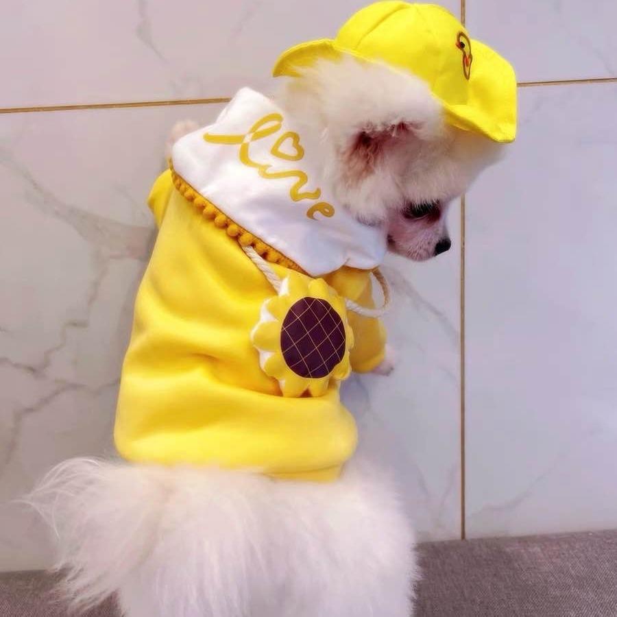 宠物狗狗泰迪比熊小型幼犬宠物衣服博美夏季可爱背心向日葵背心
