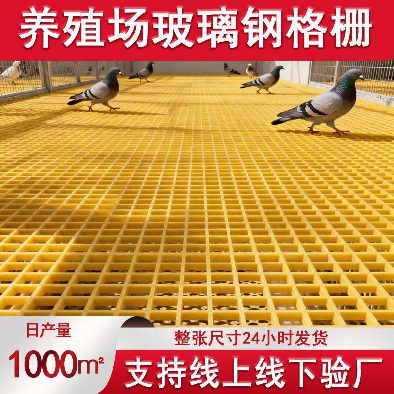 定制玻璃钢格栅鸽舍地网养殖场排水沟格栅养殖漏粪板玻璃钢网格板