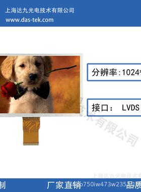10.1寸分辨率1024X600高清高亮 IPS视角触摸屏RGB接口
