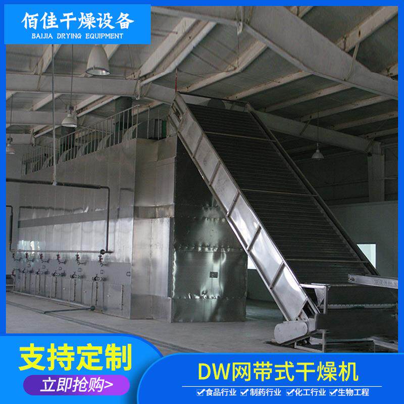 厂家供应DW网带式干燥机食品水果蔬菜烘干机多层链条式干燥机设备
