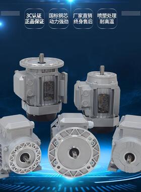 YE2 YS GS7116 7126 7136 8016 8026 90S 90L 100L-6国标铜线电机