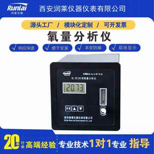 智能氧量分析仪水电解制氢站电力氢能源行业在线氧中氢气体检测仪