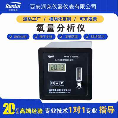 智能氧量分析仪水电解制氢站电力氢能源行业在线氧中氢气体检测仪