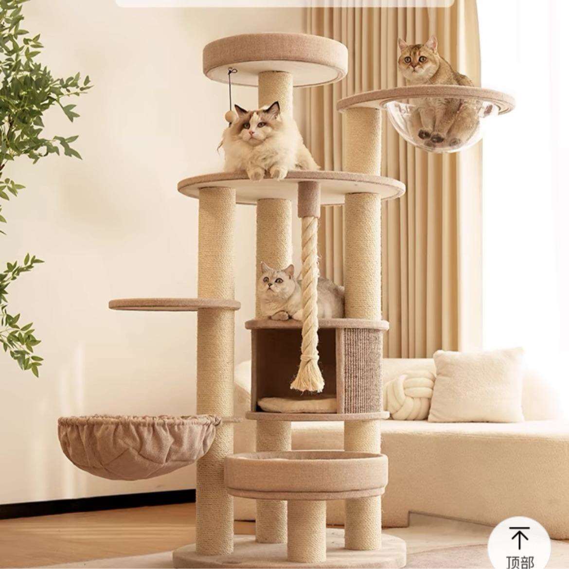 兽牌森林猫爬架实木猫窝猫树一体多猫大猫专用款大型缅因猫猫爬架图片