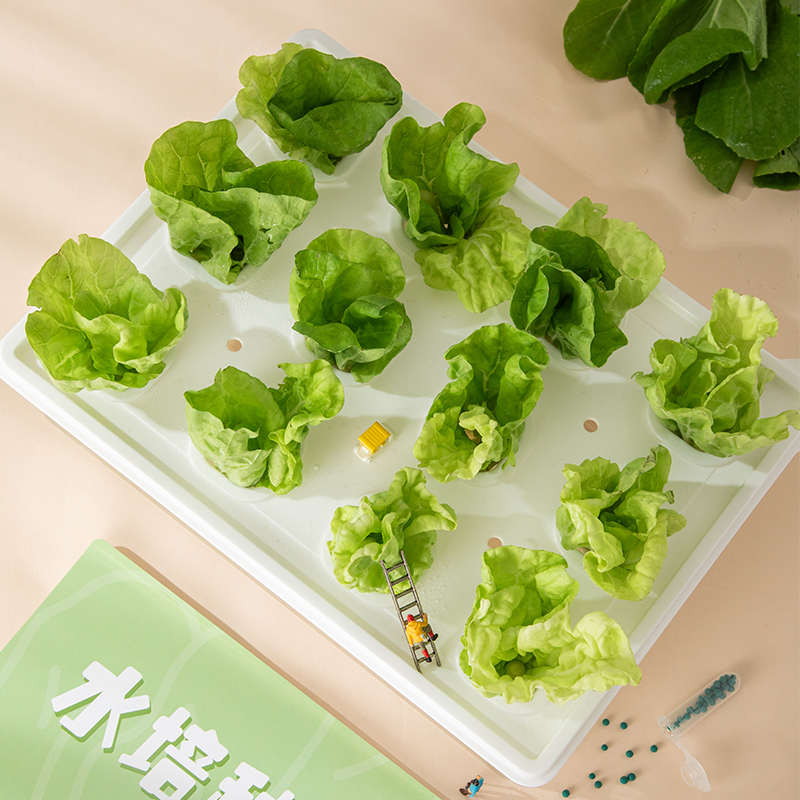 无土栽培智能花盆家庭水培蔬菜设备生菜种菜机阳台香菜水耕种植箱