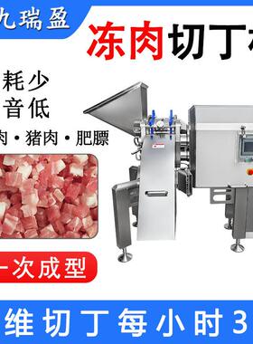 大型商用冻猪牛肉切丁机 肉包馅料切粒加工 一次成型切肉丝肉条机