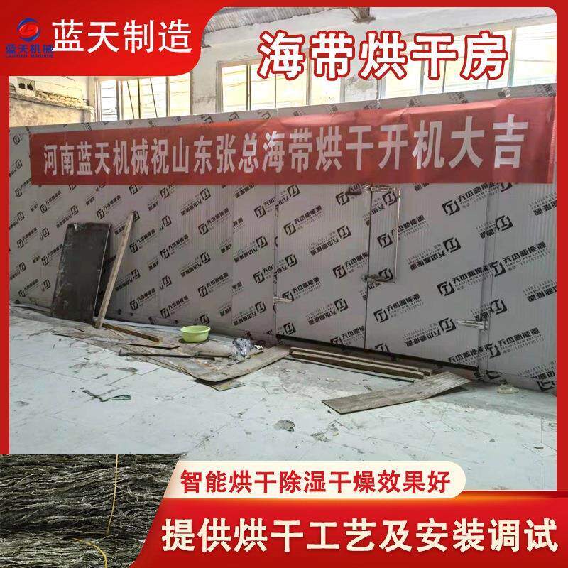 海带烘干机 大型商用海带丝海带苗烘干房 裙带菜海产品干货风干机