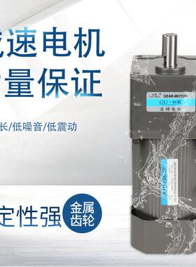 /60/90120/180马/200/50/300W微型齿轮减速达单相输WFJ送带调2速